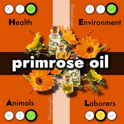 Primrose Oil Benefits + Side Effects