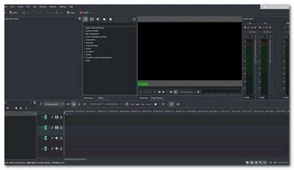 Open Source Video Editing 的图像结果