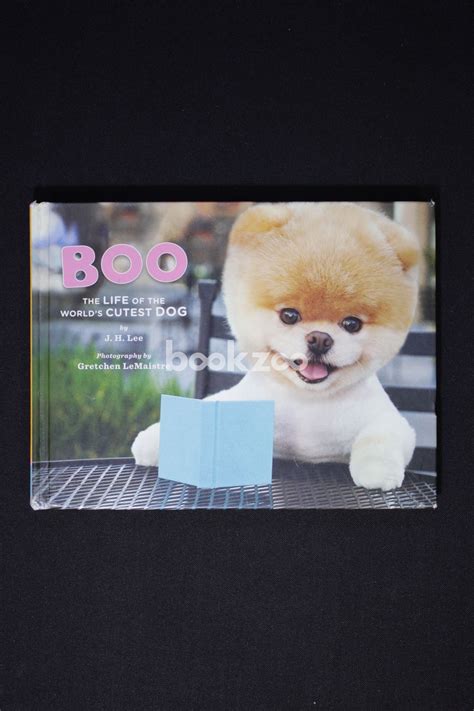 Buy Boo: The Life of the World's Cutest Dog by Gretchen LeMaistre, J.H ...
