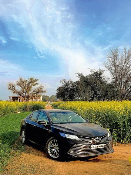 Here's How Sariska Tiger Reserve Rescued Our Contributor From Visions