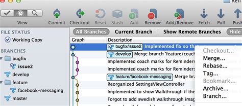 Using Source Tree with GitHub 的图像结果