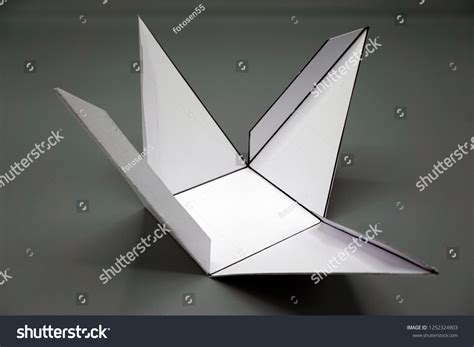 Net of Rectangular Pyramid 的图像结果