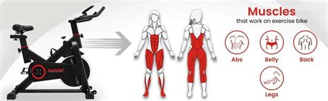 SSB-11 Spin Bike Exercise Cycle ?Easy Installation