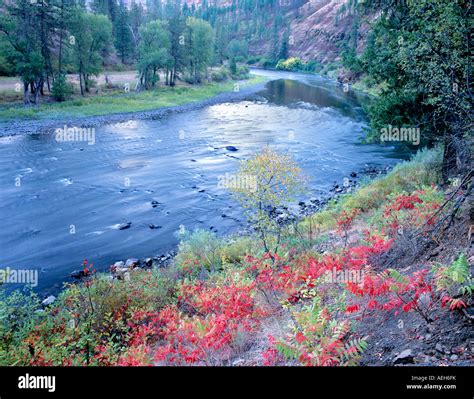 Grande Ronde River Troy at Ernest Rue blog