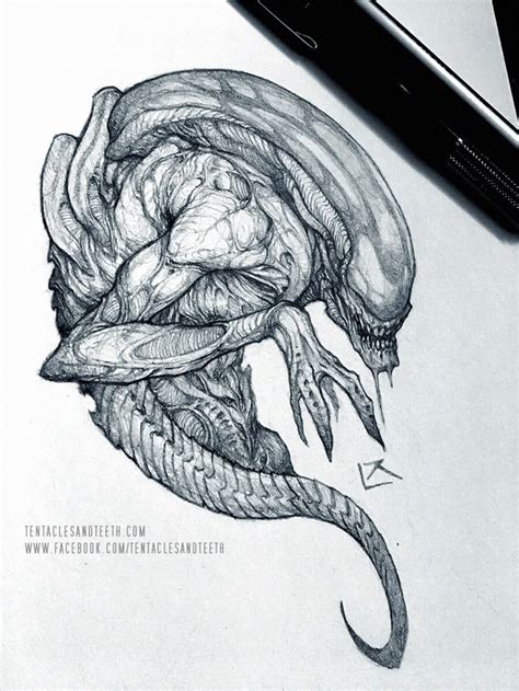 Image result for Alien Directed Drawing