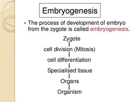 Image result for Reproduction Class 10 Videos