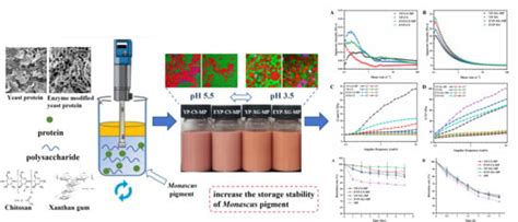 Encapsulation of Monascus Pigments Using Enzyme-Modified Yeast Protein ...
