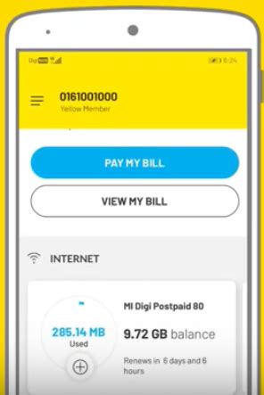 Digi Data. Check Balance 的图像结果
