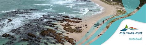 Pearly Beach - Whalecoast