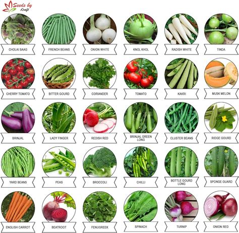 Kraft Seeds 30 Varieties of Vegetable Seeds Exotic Vegetable Heirloom Varieties Grow : Amazon.in ...