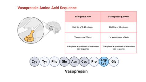 Aspirin Vs Clopidogrel Mechanism Of Action at Thomas Charlesworth blog