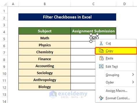 Image result for Filter Checkbox in Excel in Visual Basic