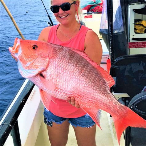 Image result for How to Catch Red Snapper