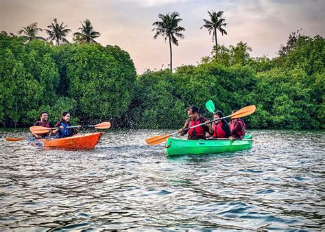 Paravur Backwaters Kayaking Adventure 2025 - Trivandrum - Viator