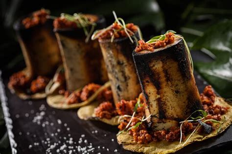 fun and cool - Reviews, Photos - Animal Masaryk - Tripadvisor