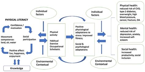 Sport Motivation from the Perspective of Health, Institutional ...