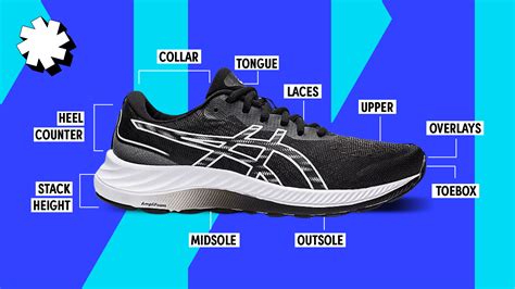 Anatomy Of The Foot Bottom Anatomy Of The Bottom Of The