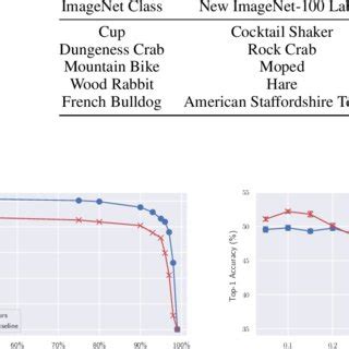 Label the Image Image Net 的图像结果