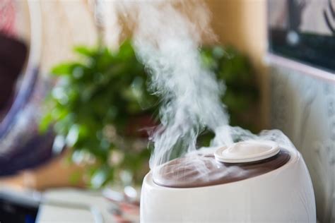 Humidifier 的图像结果