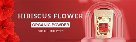 Organic Hibiscus Flower Powder - 100% Natural | Organic Pure Hibiscus ...