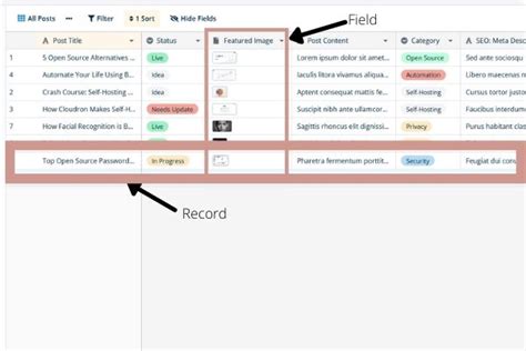 Image result for How to Create a Field On Database