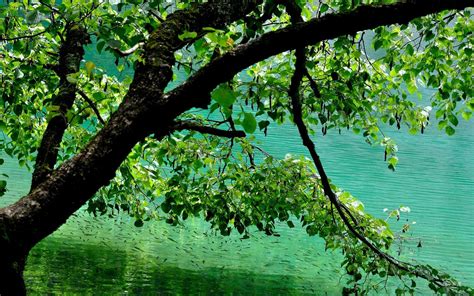 Types of Technology 的图像结果