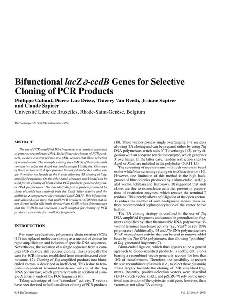 Image result for Alpha Complementation LacZ Assay