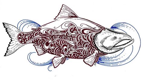 Salmon Fish Drawing at GetDrawings | Free download