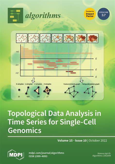 Algorithms Review 的图像结果