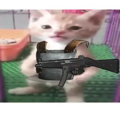 Image result for Rust Cat