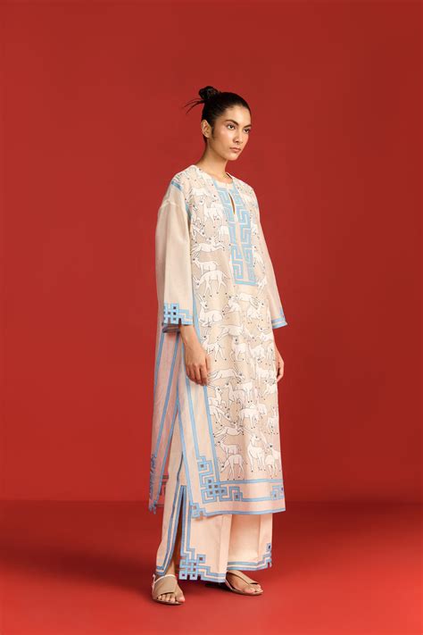 TIBETAN DEER DROP SHOULDER KAMEEZ – ikaibyraginiahuja.com