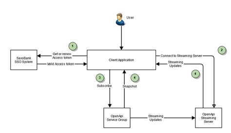 Image result for Saxo Open API Python