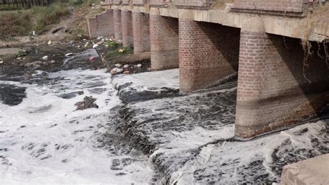 DRP News Bulletin 3 Dec. 2018: Ken Betwa Link; Push to Dilute Forest ...