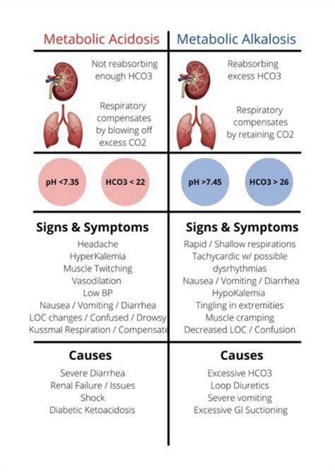 Respiratory And Metabolic Acidosis And Alkalosis Problems And Solutions