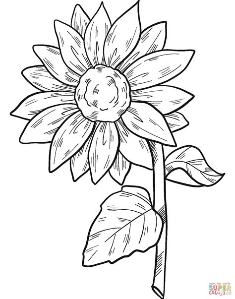 Sunflower Coloring Sheets Printable at gankaileyblog Blog