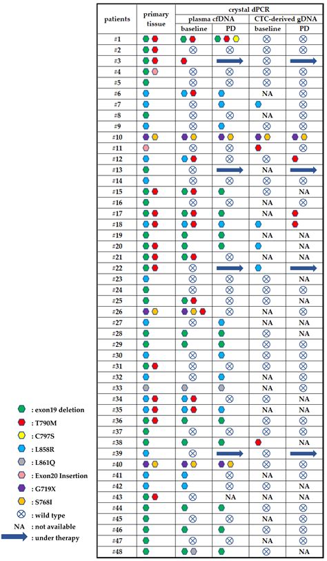 Detection of EGFR Mutations in Plasma cfDNA and Paired CTCs of NSCLC ...