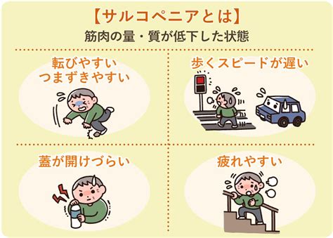 関連する画像の詳細をご覧ください。サルコペニアとは？症状・セルフチェック方法から有効な予防法まで解説 - LIFULL 介護(ライフル介護)