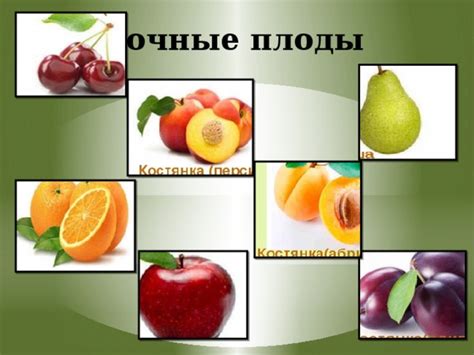 Презентация "Плод" - биология, презентации
