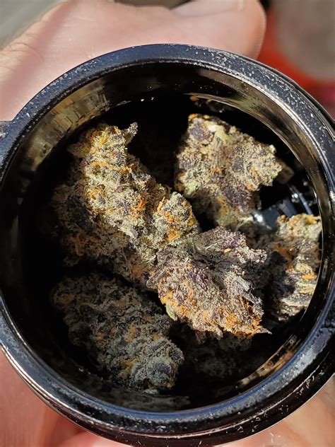 Image result for Alien Worm Food