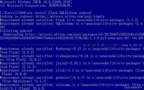 Python Flask MySQL 的图像结果