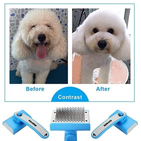 The 6 Best Dog Brushes We Tested in 2023
