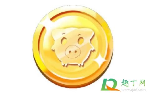 pig币值得投资吗-pig猪猪币是什么东西-趣丁网