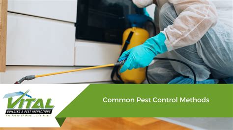 Choosing Pest Control Method 的图像结果