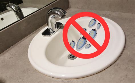 Can Roaches Come Out of the Drain? The Lurking Threat Florida ...
