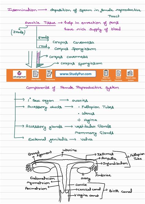 Class 12 Reproduction Videos 的图像结果