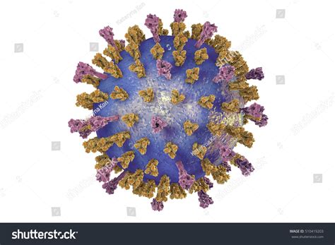 9 Virus Respiratoire Syncitial Images, Stock Photos & Vectors | Shutterstock