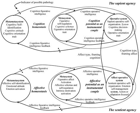 Consciousness, Sapience and Sentience—A Metacybernetic View