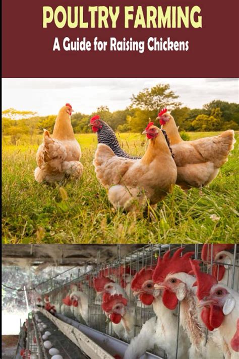 Buy The Complete Guide of Poultry Farming: Eggs Production, Raising ...