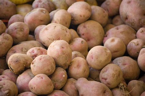 有哪些美味的土豆品种，以及如何买到？ - 知乎