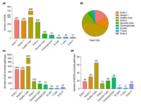 Image result for Cell Type Gene Expression